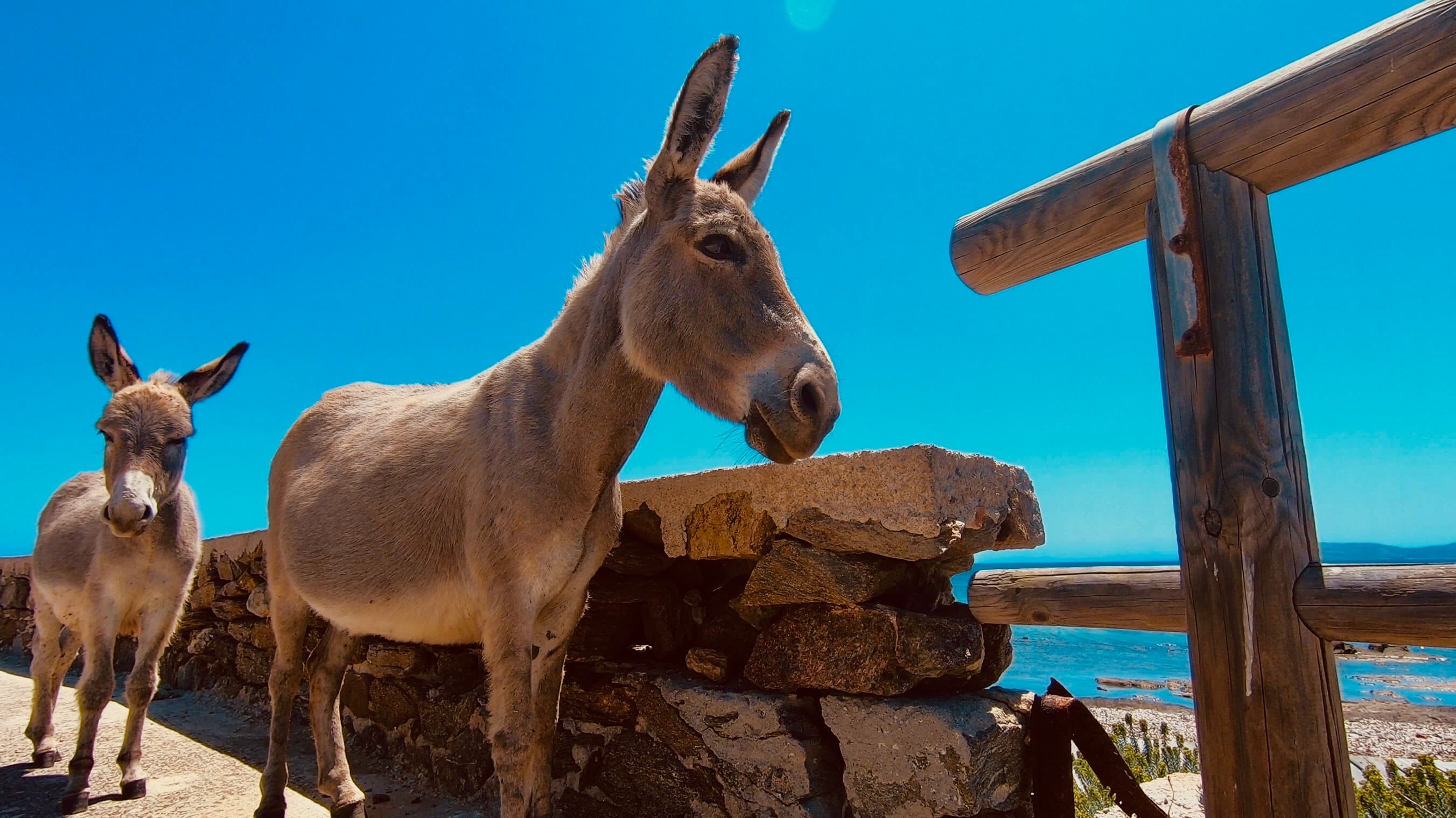 Parco Nazionale dell'Asinara